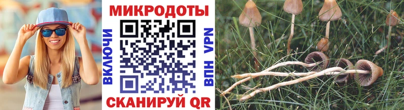 Галлюциногенные грибы Cubensis  Бронницы 